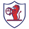 https://img.wxgxd.com/img/football/team/11fb72f7b5eacfc881ee11bac75871fa.png