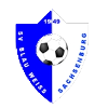 https://img.wxgxd.com/img/football/team/1cde488d47b598d2eed91775e6786258.png