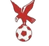 https://img.wxgxd.com/img/football/team/4802d26df935b78bb2fcdbbff36e8864.png