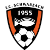 https://img.wxgxd.com/img/football/team/488370880779534e48b5b2d5243fb6f6.png